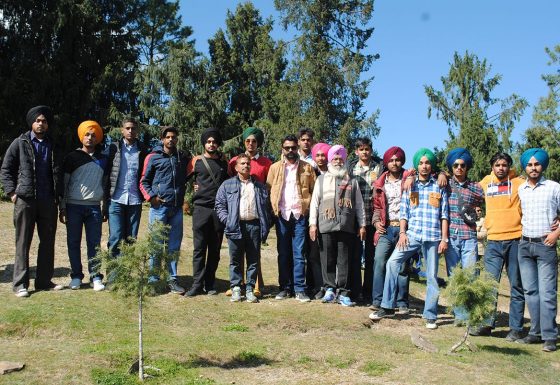 Shimla and kufri trip